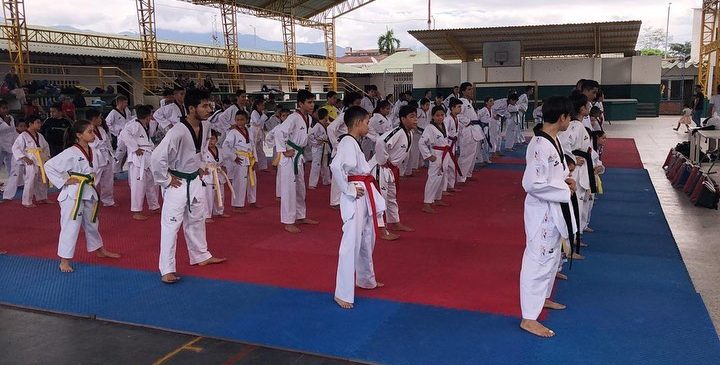 Festival de Taekwondo en el Meta